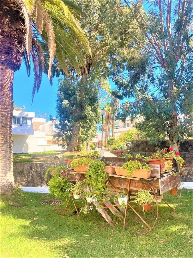 Marysol - Lovely Studio Tenerife Sur Arona  Ngoại thất bức ảnh