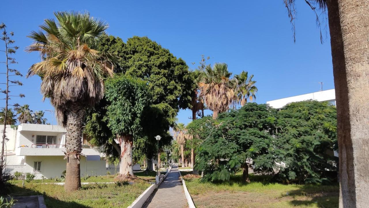 Marysol - Lovely Studio Tenerife Sur Arona  Ngoại thất bức ảnh