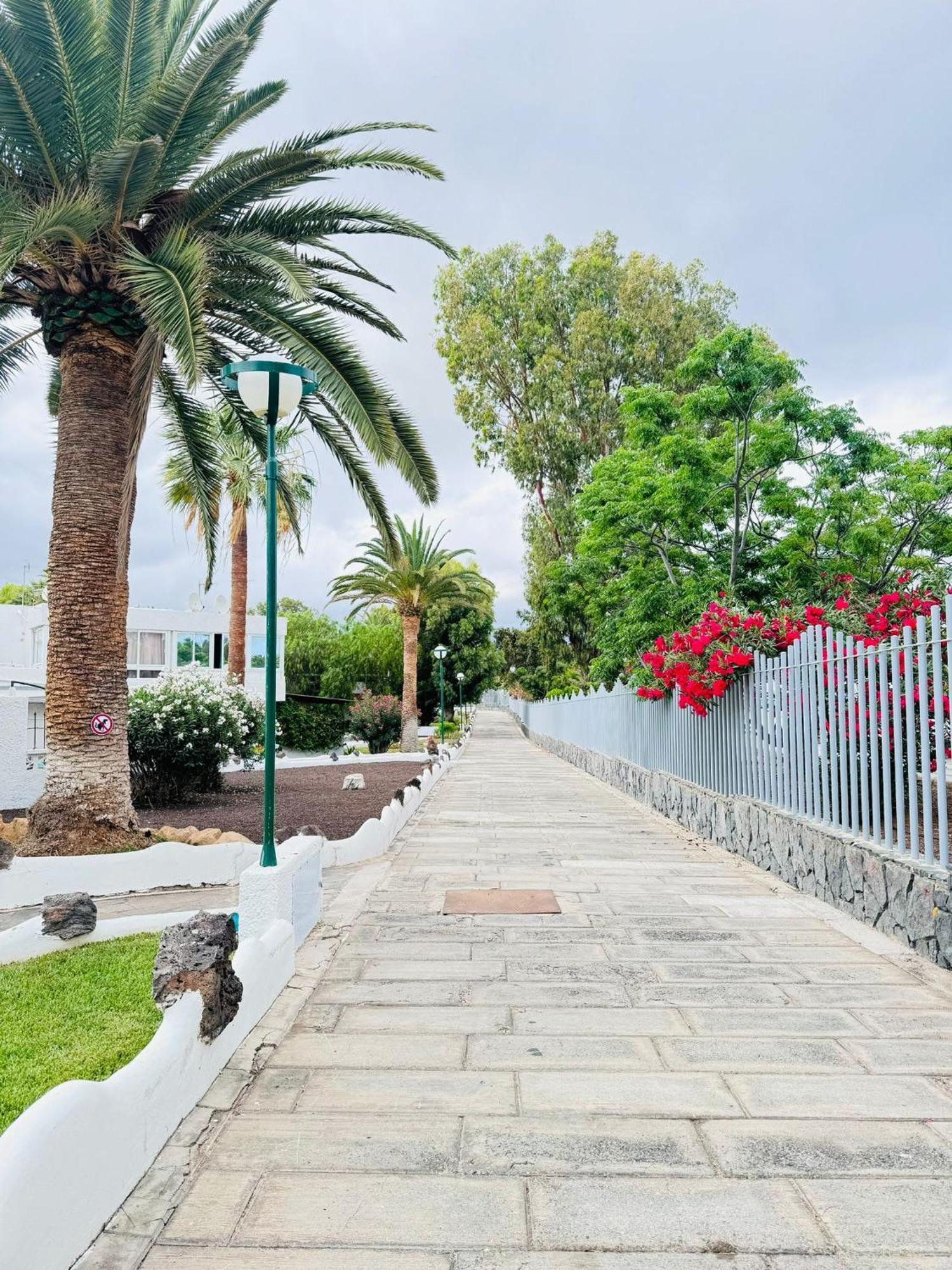Marysol - Lovely Studio Tenerife Sur Arona  Ngoại thất bức ảnh
